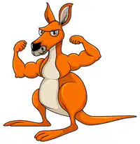 Media Image