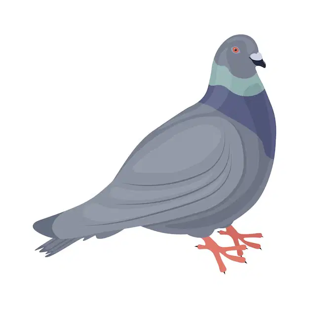 Media Image