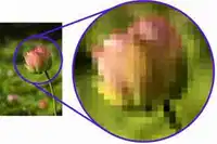Media Image