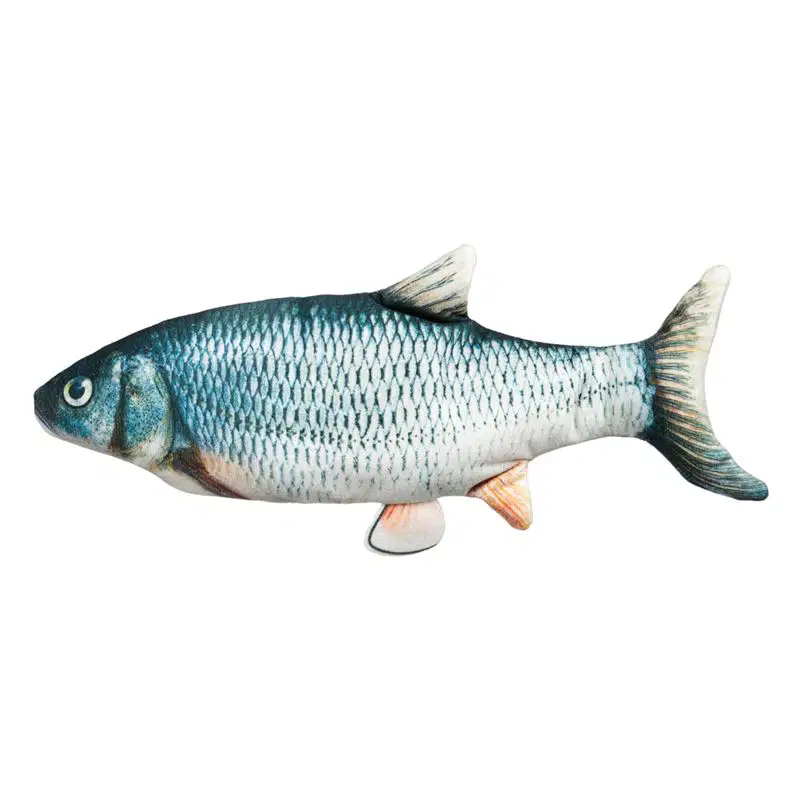 Media Image