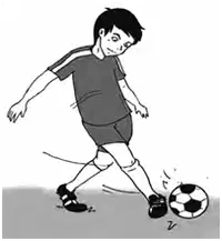 Media Image