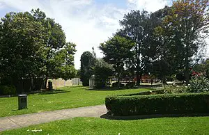 Media Image