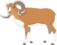 Media Image