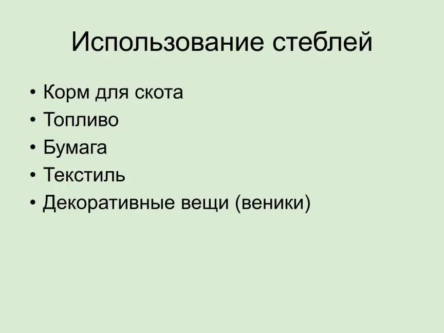 media