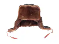Media Image
