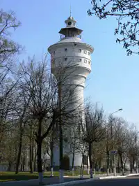 Media Image
