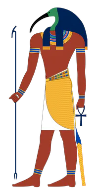 Media Image