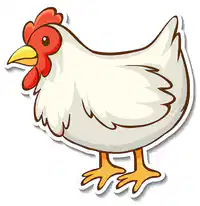 Media Image