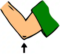 Media Image