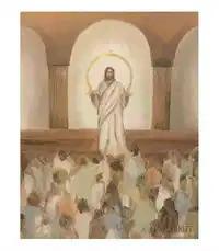 Media Image