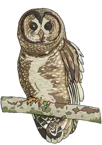 Media Image