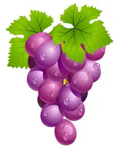 media image