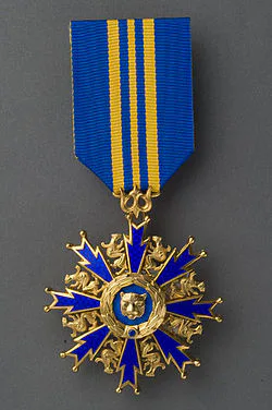 Media Image