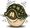 Media Image