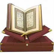 Media Image