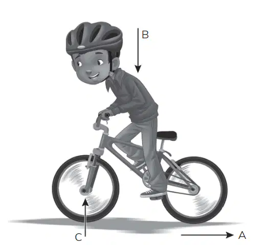 Question Image