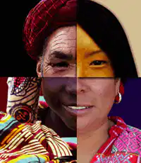 Media Image