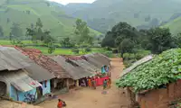 media