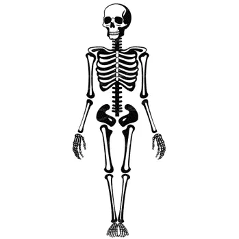 Media Image