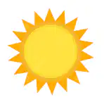Media Image