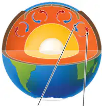 Media Image