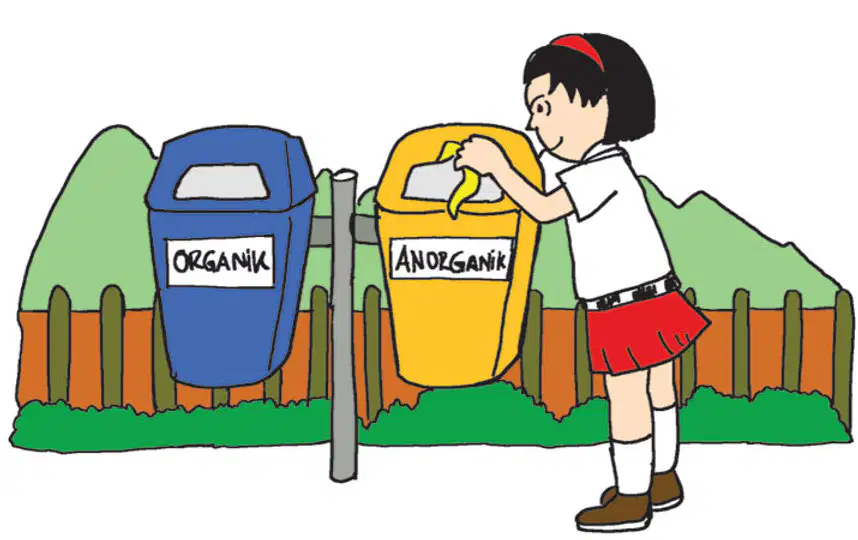 Media Image