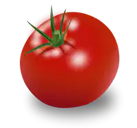 Media Image