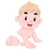 Media Image