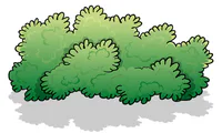 Media Image