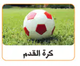 Media Image