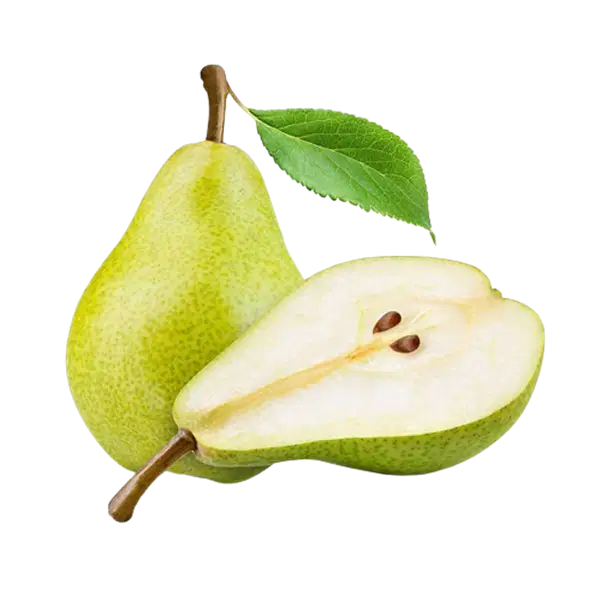 Media Image