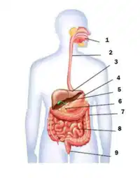 Media Image