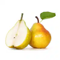 Media Image