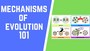 Mechanisms of Evolution Review Game