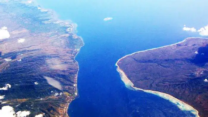 Media Image
