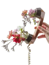 Media Image