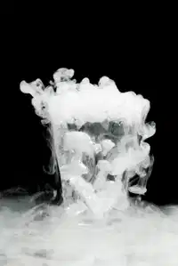 Media Image