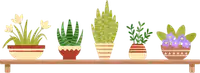 media