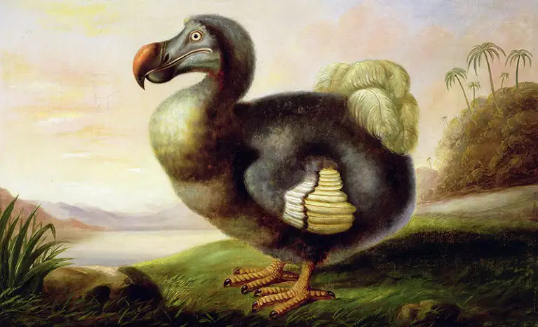 media image