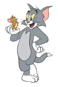 Media Image