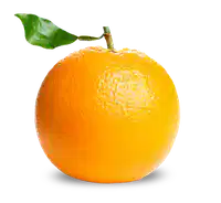 Media Image