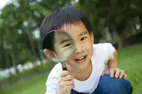 Media Image