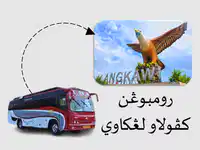 Media Image