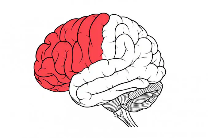Media Image