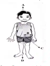 Media Image
