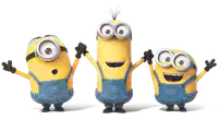Media Image