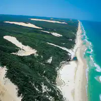 Media Image