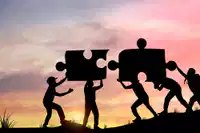 Media Image