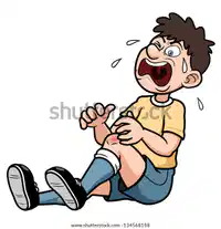 Media Image
