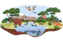 media